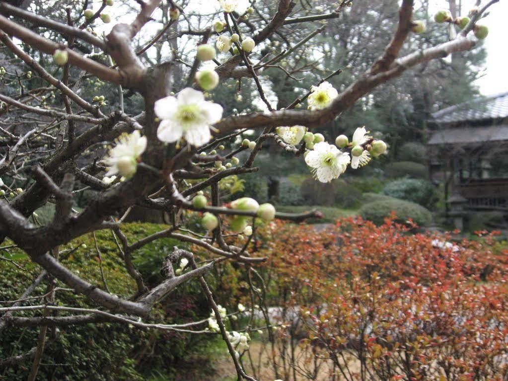 Gosho Nishi Kyoto Heian Hotel Екстер'єр фото